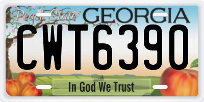 GA license plate CWT6390