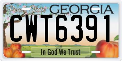 GA license plate CWT6391