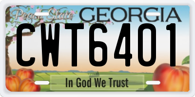 GA license plate CWT6401