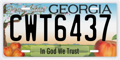 GA license plate CWT6437