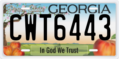 GA license plate CWT6443