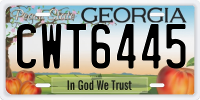 GA license plate CWT6445