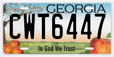 GA license plate CWT6447