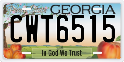 GA license plate CWT6515
