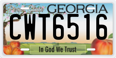 GA license plate CWT6516