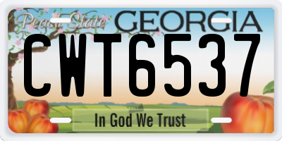 GA license plate CWT6537