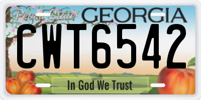 GA license plate CWT6542