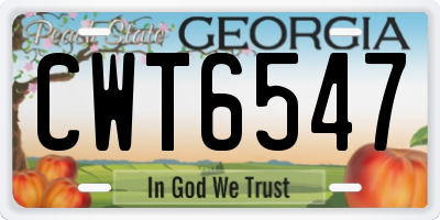 GA license plate CWT6547