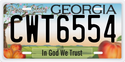 GA license plate CWT6554