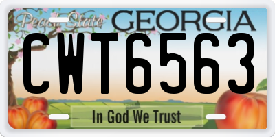 GA license plate CWT6563
