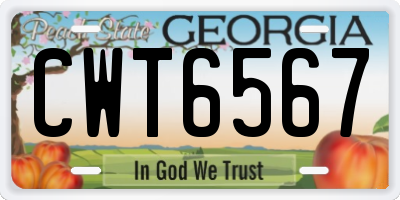 GA license plate CWT6567