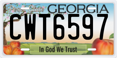 GA license plate CWT6597