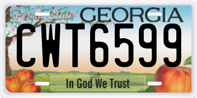 GA license plate CWT6599