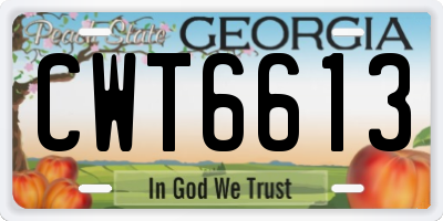 GA license plate CWT6613