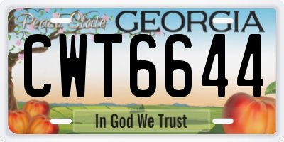 GA license plate CWT6644