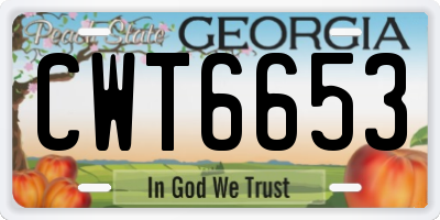 GA license plate CWT6653