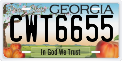 GA license plate CWT6655
