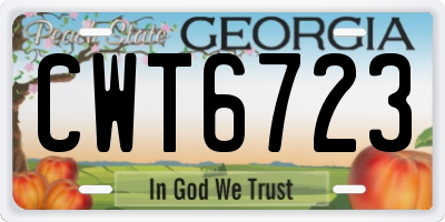 GA license plate CWT6723