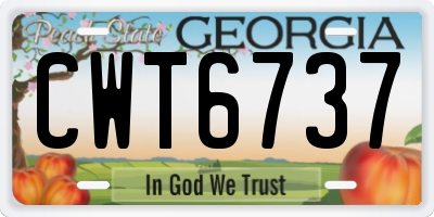 GA license plate CWT6737