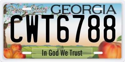 GA license plate CWT6788