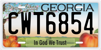 GA license plate CWT6854