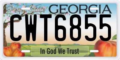 GA license plate CWT6855