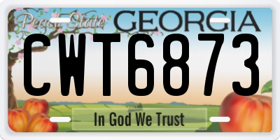 GA license plate CWT6873