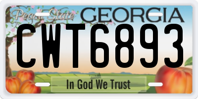 GA license plate CWT6893