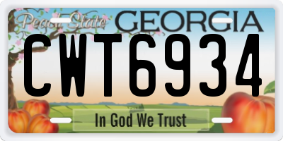 GA license plate CWT6934
