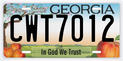 GA license plate CWT7012