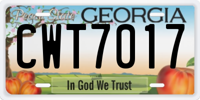 GA license plate CWT7017