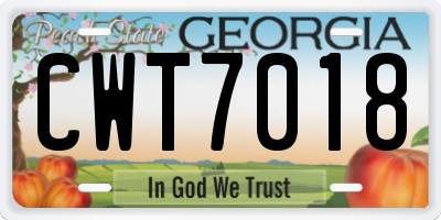 GA license plate CWT7018