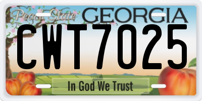 GA license plate CWT7025