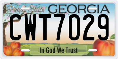 GA license plate CWT7029
