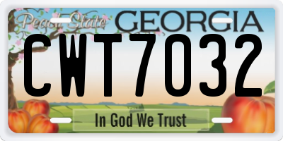GA license plate CWT7032