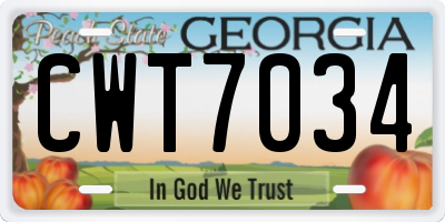 GA license plate CWT7034