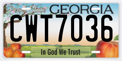 GA license plate CWT7036
