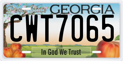 GA license plate CWT7065