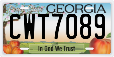 GA license plate CWT7089