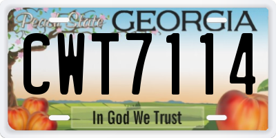 GA license plate CWT7114