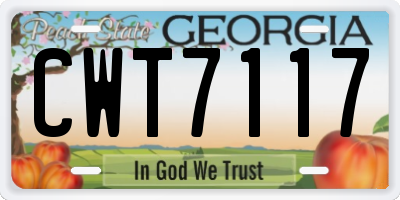 GA license plate CWT7117