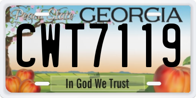 GA license plate CWT7119