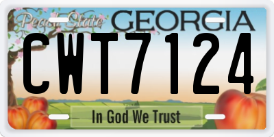 GA license plate CWT7124