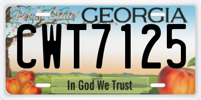 GA license plate CWT7125