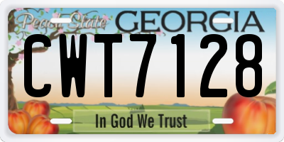 GA license plate CWT7128