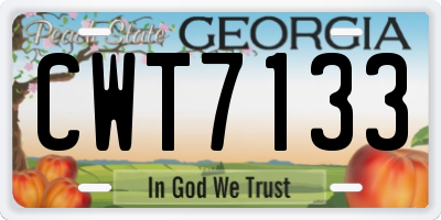 GA license plate CWT7133