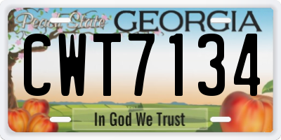 GA license plate CWT7134