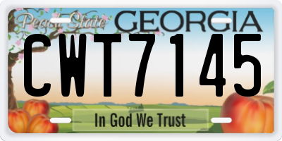 GA license plate CWT7145