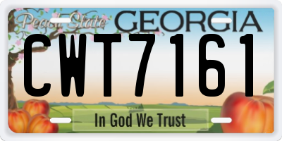 GA license plate CWT7161