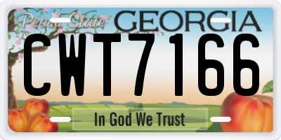 GA license plate CWT7166